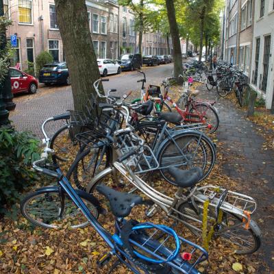 Leidenfietsen 8504 Panorama