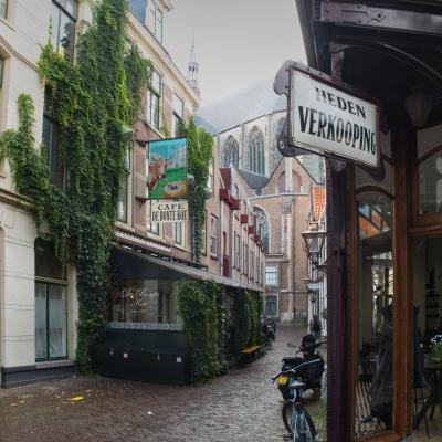 Leidenwinkel 492 Panorama